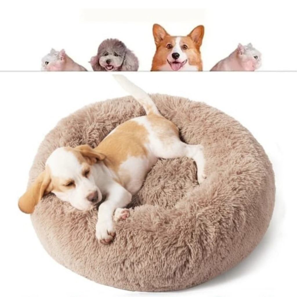 Caminha Nuvem para Cachorros e Gatos