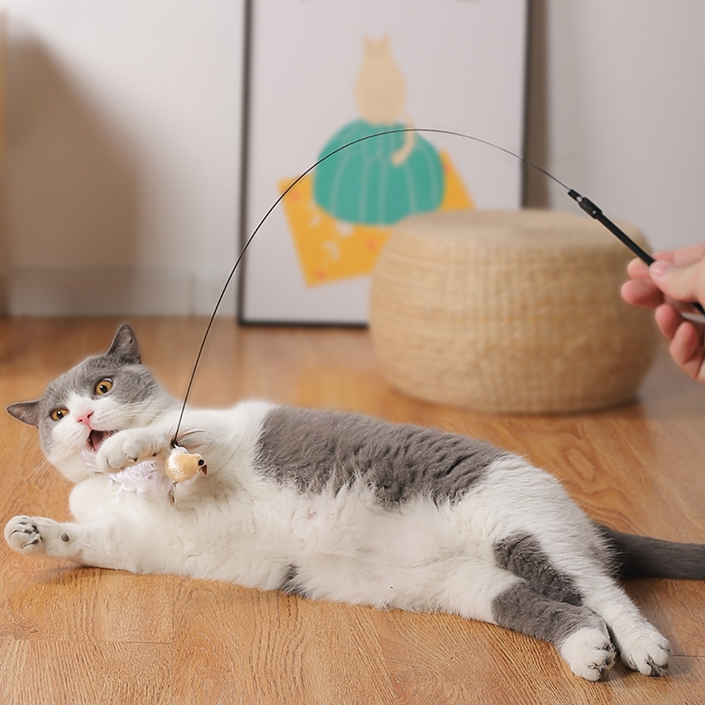 Brinquedo Interativo Varinha De Gatos Simulador De Pássaro Fixa No Chão Estimula Gatos