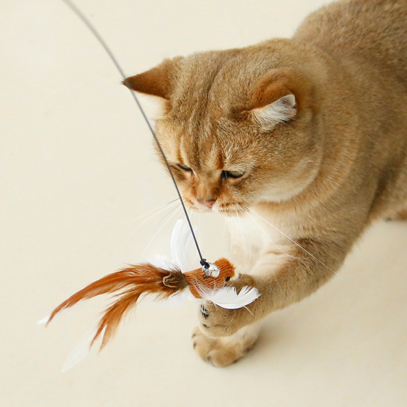 Brinquedo Interativo Varinha De Gatos Simulador De Pássaro Fixa No Chão Estimula Gatos