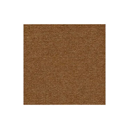 Carpete Adesivo Protetor para Unha de Gatos + Brinde Exclusivo