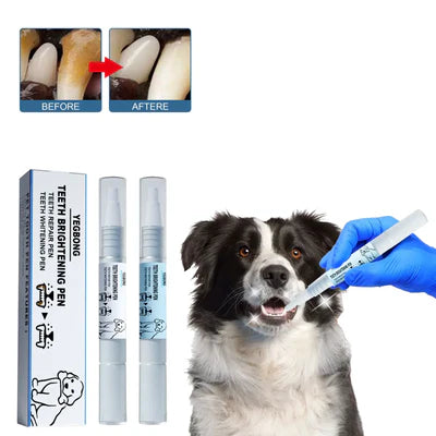 Caneta de Cuidado Dental - PetCare (Promoção - Compre 1 e leve 2)