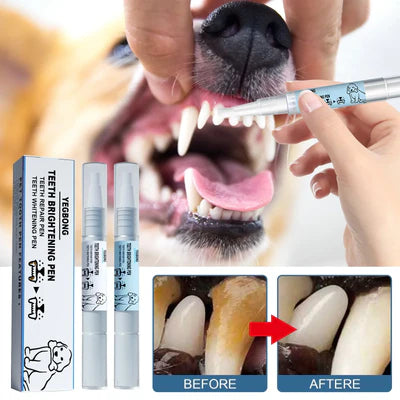 Caneta de Cuidado Dental - PetCare (Promoção - Compre 1 e leve 2)