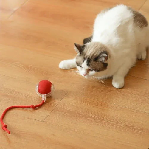 Brinquedo Bola de Caça Eletrônica