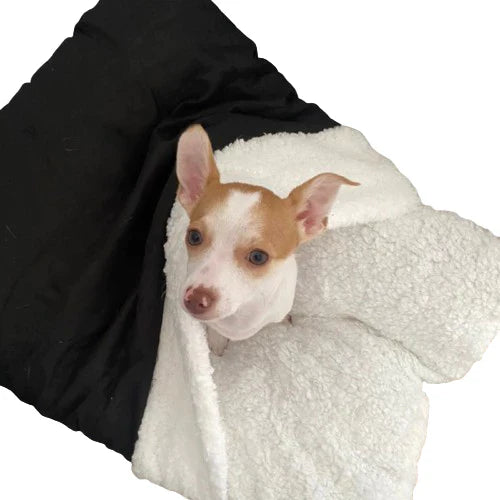 🔥 Super Promoção 🔥 Caminha Pet Canguru + Bola de caça!