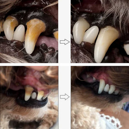 Caneta de Cuidado Dental - PetCare (Promoção - Compre 1 e leve 2)